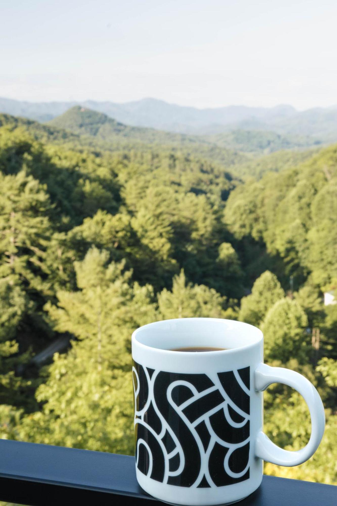 Long View Resort Bryson City, Nc Екстериор снимка